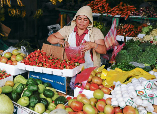 La Esperanza, un encuentro con la naturaleza
