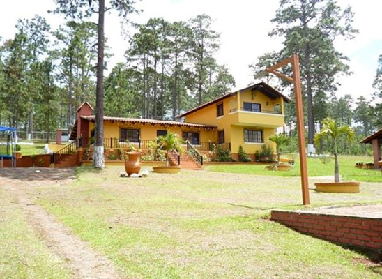 En mes y medio subastarán bienes incautados en caso del IHSS