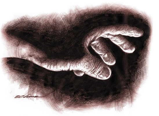 La sombra del enemigo