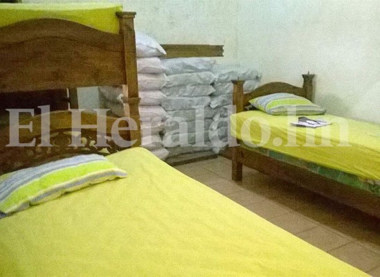 Más de 300 cabezas de ganado había en hacienda de familia Matta