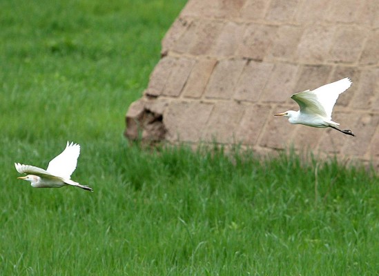 Las Fotos de la Semana en ElHeraldo.hn