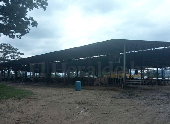 Aseguran más bienes del crimen organizado en el norte de Honduras