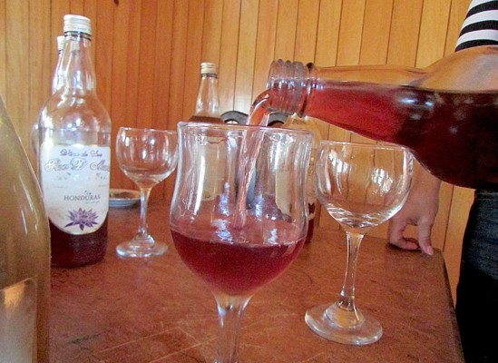 Delicias a base de frutas hechas en Güinope