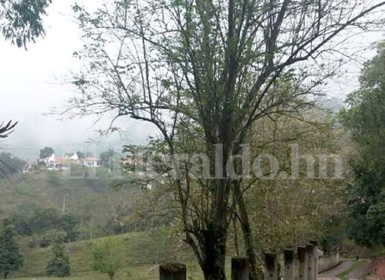 Aseguran más de 50 propiedades en el norte y occidente de Honduras