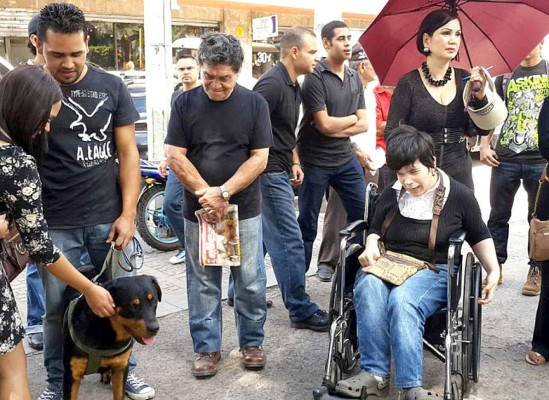 Honduras: Exigen aprobación de ley contra maltrato animal