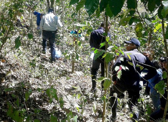 Hallan cadáver de un hombre en medio de cafetal