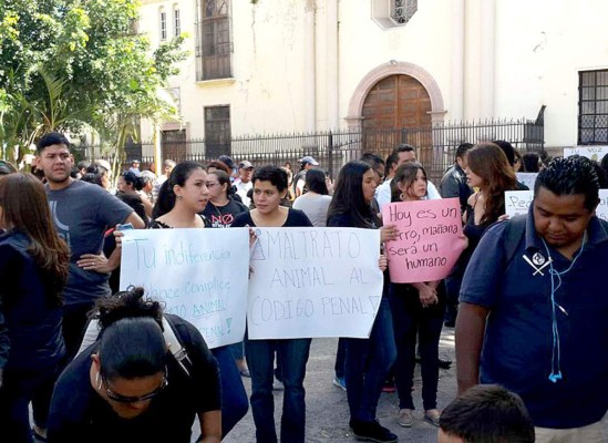 Honduras: Exigen aprobación de ley contra maltrato animal