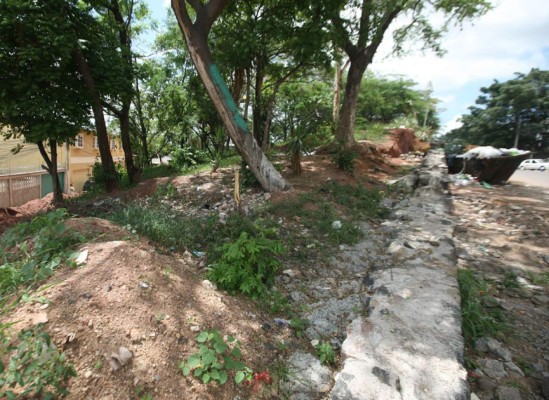 Abandonan obras en parque