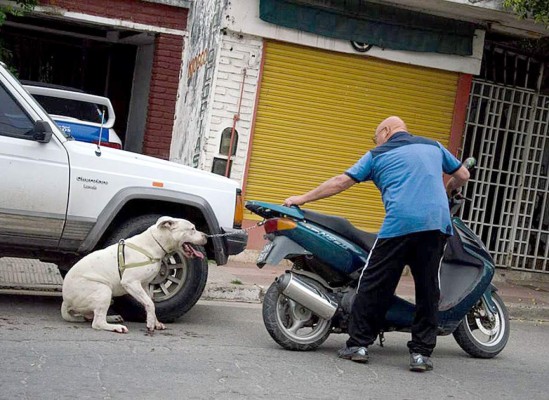 Hombre arrastra a su perro en una motocicleta