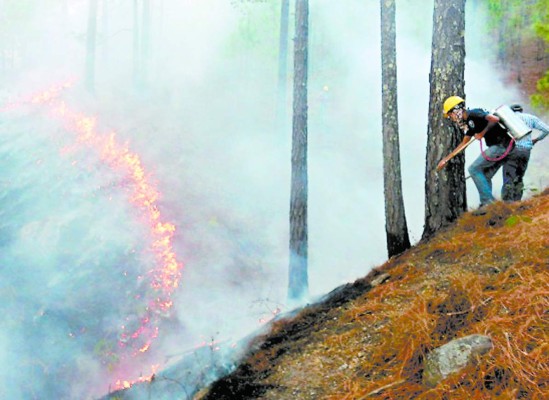 Tegucigalpa: 69 incendios menos que en 2014