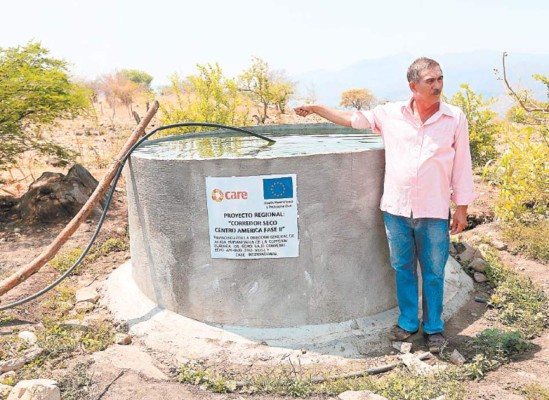 Las ONG buscan fomentar una producción sostenible en el sur