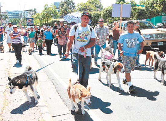 Objetan Ley Protectora de Animales