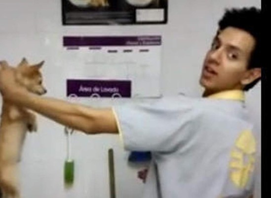 Cierran tienda tras video de maltrato a perros &nbsp;&nbsp;