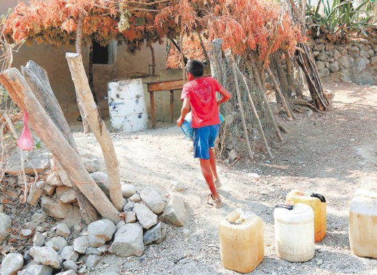 Unos 40 mil hondureños afectados por sequía