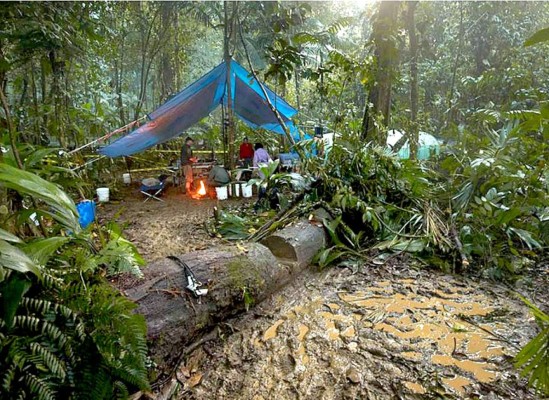 NatGeo confirma hallazgo de 'Ciudad Blanca'