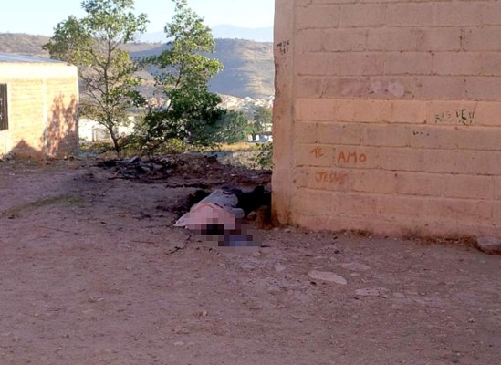 A pedradas matan a reo en la capital de Honduras