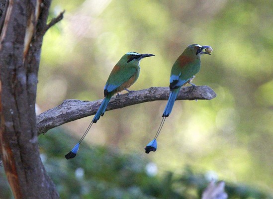 Las Fotos de la Semana en ElHeraldo.hn