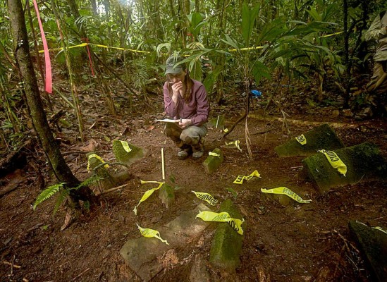 NatGeo confirma hallazgo de 'Ciudad Blanca'