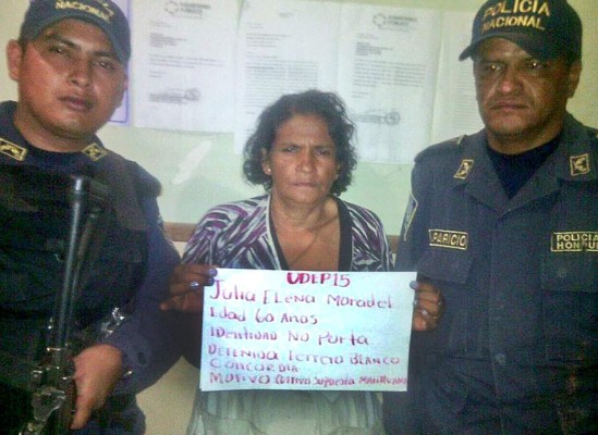 Decomisan más de mil plantas de marihuana