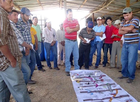 Barista y Farmer 2015 llega a Honduras