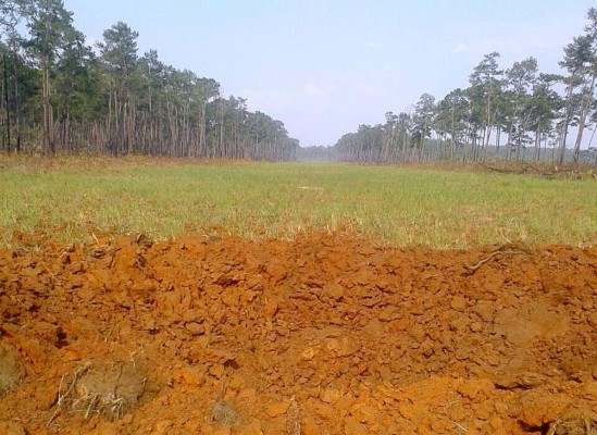 Destruyen narcopista en el noreste de Honduras