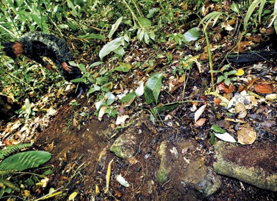 NatGeo confirma hallazgo de 'Ciudad Blanca'