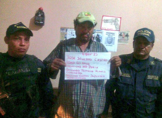 Decomisan más de mil plantas de marihuana