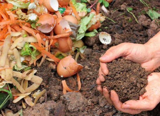 A elaborar abono con las Escuelas Amigables con el Ambiente