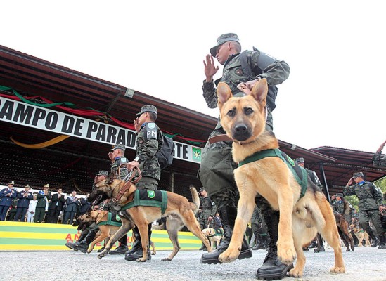 Presentan primer batallón canino de Honduras
