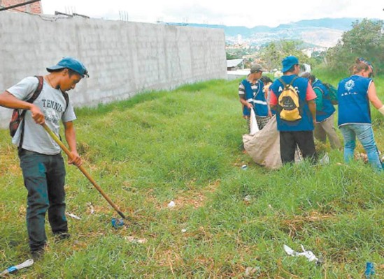 Salud llega a zonas con alto nivel de chikungunya