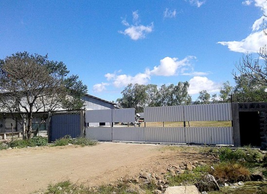 Corrupción en el IHSS: 11 órdenes de captura contra exfuncionarios