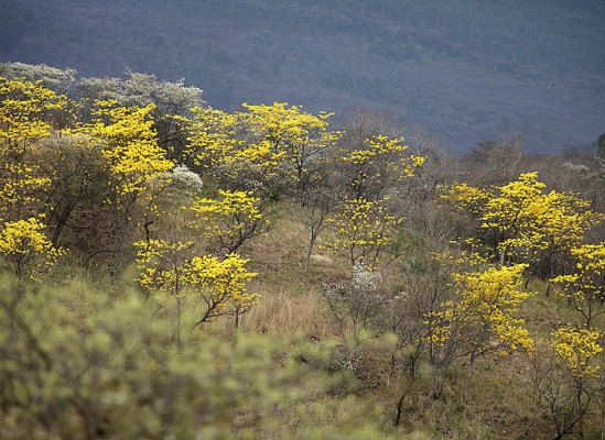 Las Fotos de la Semana en ElHeraldo.hn