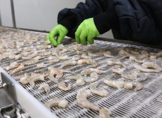 Producción bajará 18 millones de libras