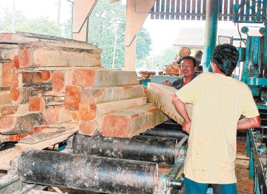 Honduras exporta $57 millones en madera