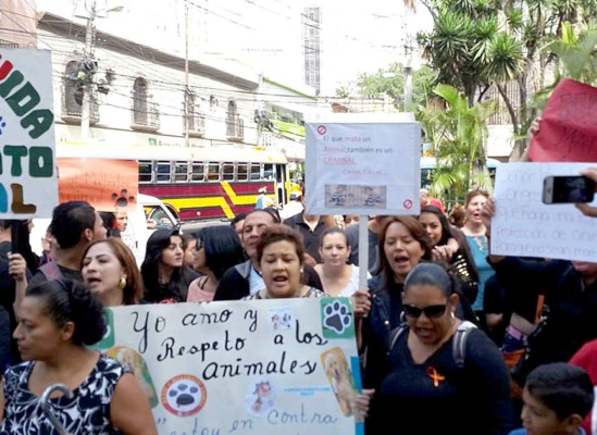 Honduras: Exigen aprobación de ley contra maltrato animal