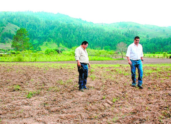 Gobierno aporta fondos para UNA