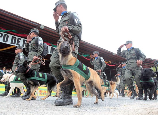 Presentan primer batallón canino de Honduras