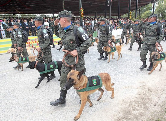 Presentan primer batallón canino de Honduras