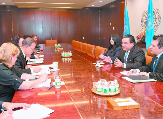 ONU y OEA buscarán profesionales de alto perfil