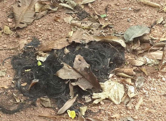 Capturan a taxista sospechoso de asesinato