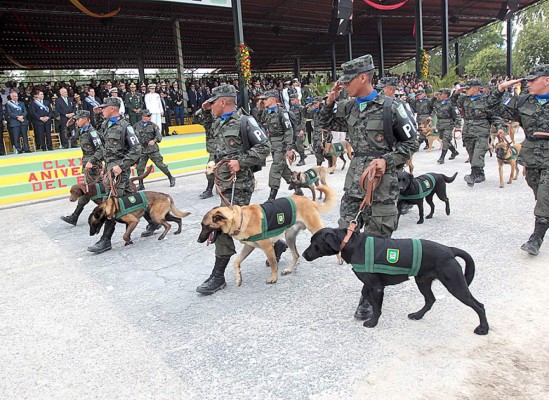 Presentan primer batallón canino de Honduras
