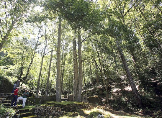 Turismo verde sin salir de Tegucigalpa