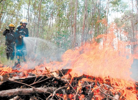 Escasez de agua limita combate contra incendios