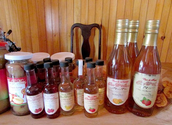 Delicias a base de frutas hechas en Güinope