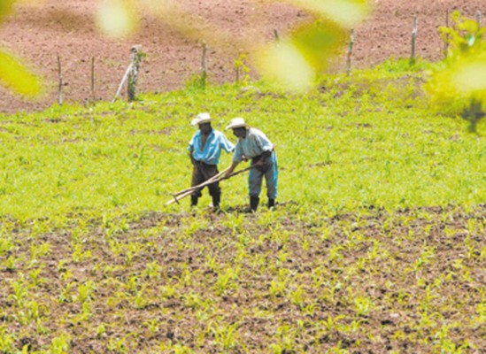 Lluvias volverán en septiembre