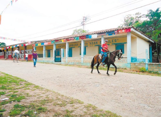 Alerta por encefalitis equina