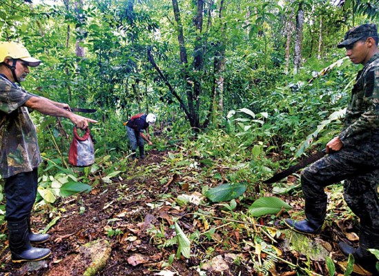 NatGeo confirma hallazgo de 'Ciudad Blanca'
