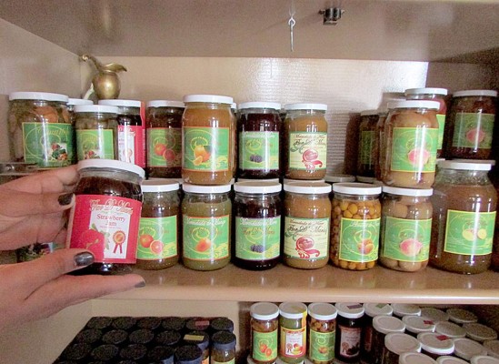 Delicias a base de frutas hechas en Güinope