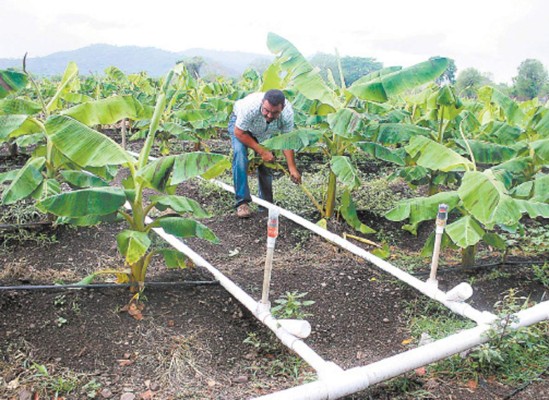CN conoce propuesta para aprovechamiento de aguas