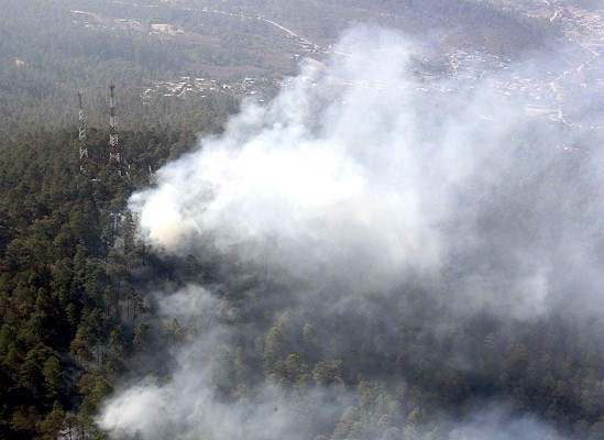 Honduras: Más de 17 mil hectáreas de bosque consumidas por incendios